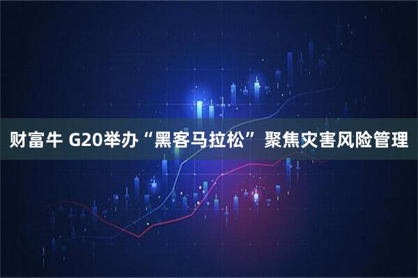 财富牛 G20举办“黑客马拉松” 聚焦灾害风险管理
