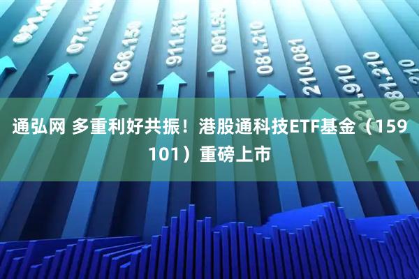 通弘网 多重利好共振！港股通科技ETF基金（159101）重磅上市
