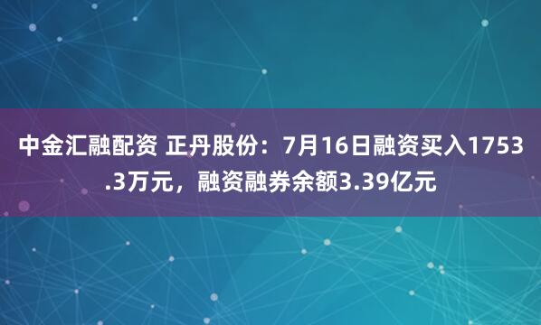 中金汇融配资 正丹股份：7月16日融资买入1753.3万元，融资融券余额3.39亿元