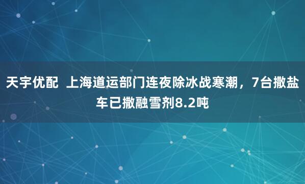 天宇优配  上海道运部门连夜除冰战寒潮，7台撒盐车已撒融雪剂8.2吨